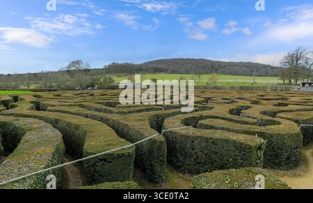 The Hedge Maze at Longleat Safari and Adventure Park, Longleat, Wiltshire, Angleterre, Royaume-Uni Banque D'Images