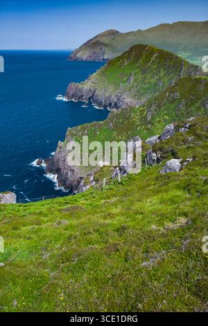 À l'est le long du littoral de falaises escarpées et verdoyantes Montagnes vers la tête de Brandon de Ballydavid, Curragraigue Boherboy, tête, de conseil Banque D'Images