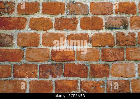 Gros plan d'un mur de briques rouges montrant des surfaces texturées et des motifs. L'aspect vieilli et altéré souligne le charme rustique et robuste co Banque D'Images