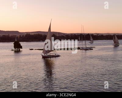 Les Feluccas naviguent sur le Nil au crépuscule à Assouan, en Égypte—lumière rose au-dessus de l'île Éléphantine et des rives nubiennes. Voiliers traditionnels au crépuscule. Banque D'Images