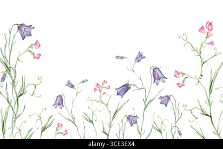 bordure rectangulaire horizontale ou cadre avec des fleurs sauvages roses. Illustration d'aquarelle dessinée à la main sur fond isolé blanc. Motif floral d'été pour Banque D'Images