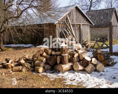 Pile de bois de chauffage fraîchement coupé empilé près de la vieille grange en bois au début du printemps. Banque D'Images