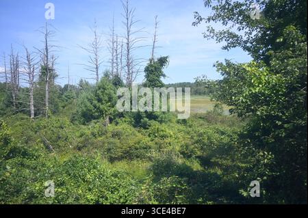vues panoramiques sur la route ferroviaire saratoga corinth & hudson. Banque D'Images