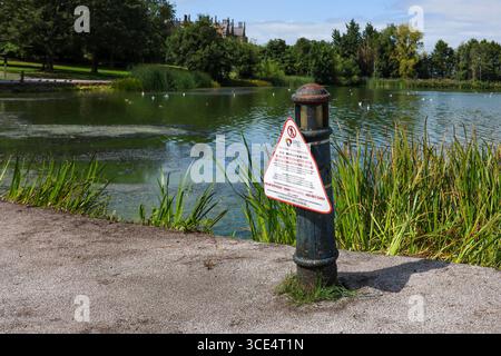 Lurgan Park, Lurgan, County Armagh, Irlande du Nord, Royaume-Uni, 15 août 2025. Météo britannique – un après-midi chaud, chaud et ensoleillé à Lurgan Park avec des températures au milieu des années 20. Le temps chaud de l'été a vu une nouvelle éclosion d'algues bleu-vert - floraison d'algues bleu-vert - sur le lac du parc. Crédit : CAZIMB/Alamy Live News. Banque D'Images