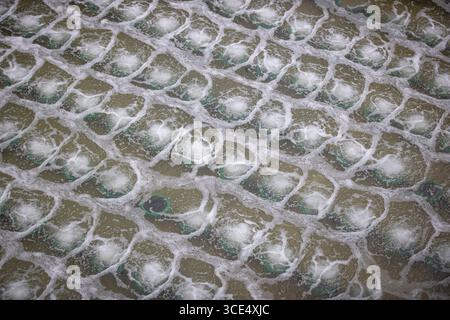 Usine moderne de traitement des eaux usées avec de grands bassins de décantation, systèmes de filtration et infrastructure industrielle soutenant la purification de l'eau et l'envi Banque D'Images