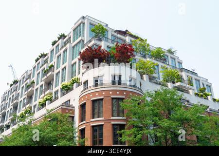 Un bâtiment résidentiel mitoyen à Yorkville dispose de grandes fenêtres et de balcons ornés d'arbres vibrants et d'arbustes fleuris. Banque D'Images