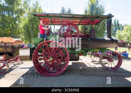 Femme au volant d'une traction à vapeur 1912 Aultman-Taylor moteur au-delà des spectateurs lors de défilé de la grande puissance à l'Oregon, Steam-Up Powerland Herit Banque D'Images
