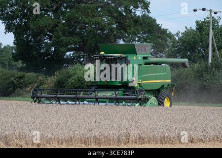 Récolte de blé Pettistree Suffolk Angleterre Banque D'Images