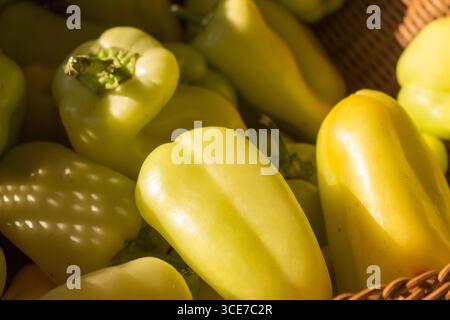 poivrons jaunes doux. Pile de fond de légumes sains colorés. Banque D'Images