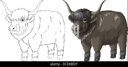 Vache Highland de style dessin animé présentée en couleur détaillée et en dessin au trait noir et blanc, côte à côte, avec des contours nets et un ombrage doux Illustration de Vecteur