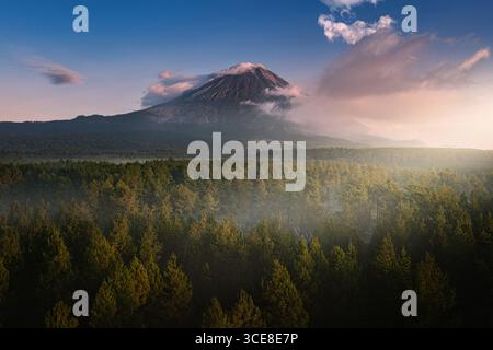 Majestueux Mont Semeru s'élevant au-dessus de forêts de pins luxuriantes au lever du soleil dans l'est de Java, Indonésie Banque D'Images