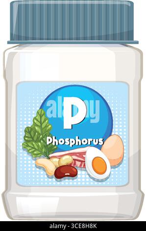 Illustration vectorielle d'une étiquette de bouteille de supplément de phosphore, mettant en évidence les sources alimentaires clés comme les œufs, les haricots, les noix, les légumes verts et la viande dans un s propre et plat Illustration de Vecteur