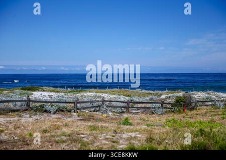 Pebble Beach, Californie - 21 mai 2016 : paysages des liens de la baie espagnole à la station balnéaire Pebble Beach Banque D'Images