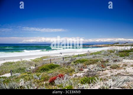 Pebble Beach, Californie - 21 mai 2016 : paysages des liens de la baie espagnole à la station balnéaire Pebble Beach Banque D'Images