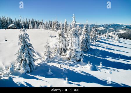 Scène hivernale pittoresque avec des arbres couverts de neige projetant de longues ombres sur la neige immaculée sous un ciel bleu clair. Au loin, les collines ondoyantes et les montagnes lointaines créent une toile de fond sereine et expansive. Banque D'Images