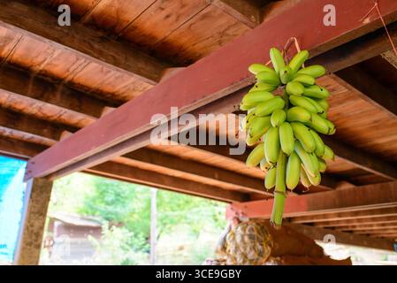 Une banane encore crue Banque D'Images