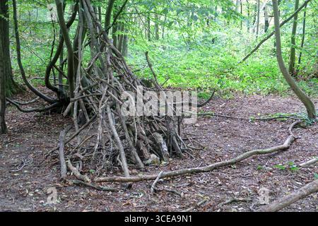 Une pile de vieilles branches penchées pour faire un petit camping dans les bois Banque D'Images