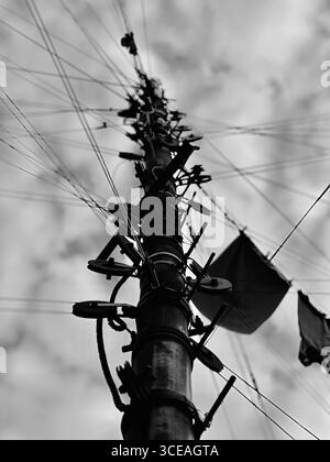 Il s'agit d'une photographie noir et blanc saisissante et à contraste élevé qui capture un spectacle inhabituel. La caméra regarde vers le bas un poteau utilitaire, mais au lieu de t Banque D'Images