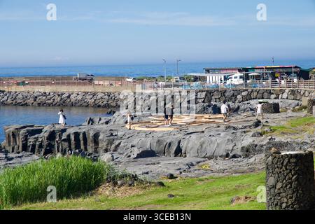 Des corniches de basalte avec des marais salants traditionnels en pierre s'étendent à côté du port calme de Gueom Port, avec les visiteurs explorant les rochers de marée et les vendeurs le long de la route Banque D'Images