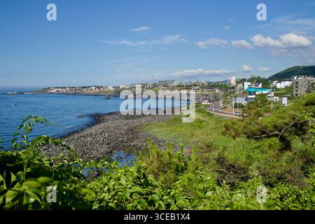 Vue surélevée sur les baies et les promontoires d'Aewol avec des hôtels, des cafés et des palmiers bordant le rivage, la route côtière filant le long de la forêt volcanique accidentée Banque D'Images