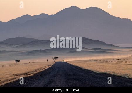 Routes sans fin dans le parc national Namib-Naukluft, Namibie, Afrique Banque D'Images