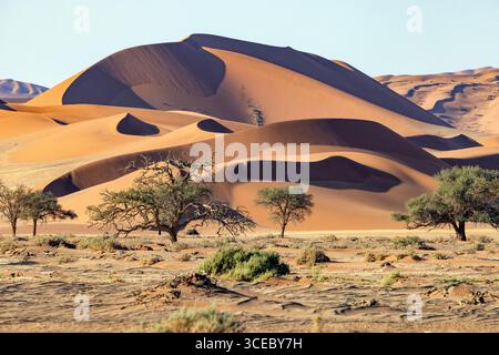 Dunes de sable extra-terrestres près de Sossusvlei dans le parc national Namib-Naukluft, Namibie, Afrique Banque D'Images