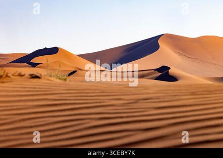 Dunes de sable extra-terrestres près de Sossusvlei dans le parc national Namib-Naukluft, Namibie, Afrique Banque D'Images