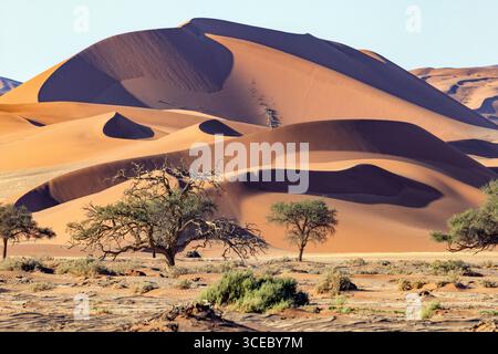 Dunes de sable extra-terrestres près de Sossusvlei dans le parc national Namib-Naukluft, Namibie, Afrique Banque D'Images