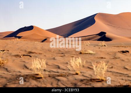Dunes de sable extra-terrestres près de Sossusvlei dans le parc national Namib-Naukluft, Namibie, Afrique Banque D'Images