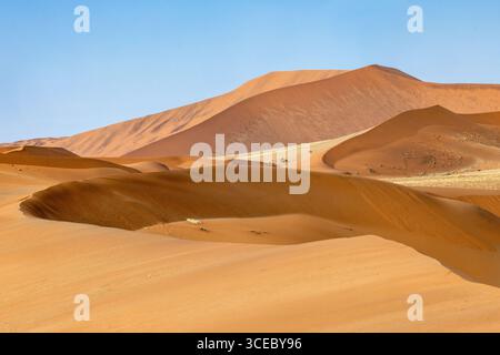 Dunes de sable extra-terrestres près de Sossusvlei dans le parc national Namib-Naukluft, Namibie, Afrique Banque D'Images