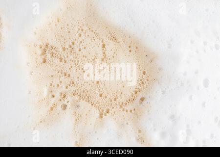 Gros plan macro d'une mousse de café mousseuse mettant en valeur sa texture complexe. La mousse beige clair repose sur un fond blanc, illustrant la bulle Banque D'Images
