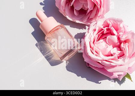 Vue de dessus d'un flacon compte-gouttes en verre rempli de sérum d'eau de rose, placé à côté de deux roses roses roses sur un fond blanc, créant un aestheti minimaliste Banque D'Images