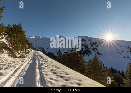 Un sentier de motoneige pittoresque serpente à travers un paysage de montagne enneigé serein sous un ciel bleu clair, avec le soleil brillant sur la cime des arbres, cre Banque D'Images