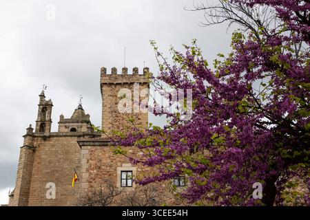 Cáceres, Espagne - 13 avril 2025 : vieille ville de Cáceres Banque D'Images