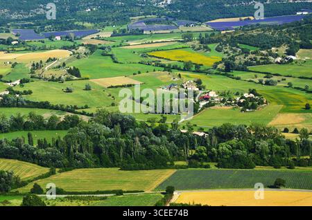 Paysage rural de Provence. Vue d'en haut sur les champs et les fermes près du village de Sault Banque D'Images