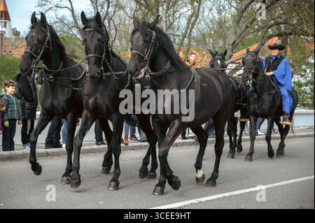 HORTOBAGY, HONGRIE 23 AVRIL 2022 quatre chevaux noirs tirent une calèche pendant le Festival du berger de la Saint-Georges à Hortobágy, mettant en vedette riche Banque D'Images