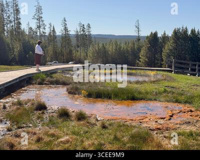 Yellowstone, Wyoming, États-Unis - 30 mai 2025 : personne debout sur une promenade regardant l'eau chaude bouillante à Terrace Springs Banque D'Images
