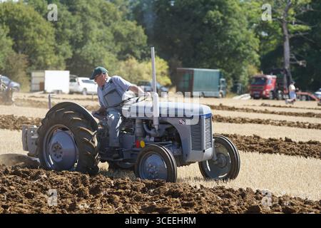 Agriculteur utilisant un tracteur d'époque dans les champs pendant le labourage. Labourage Vintage, Rousham, Angleterre Banque D'Images