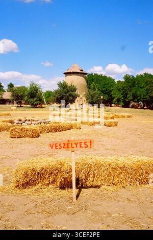 Festival en plein air. Les scènes, les scènes du festival, sont disposées dans un espace ouvert lors d’un festival de musique, photographiées en analogique avec un appareil Olympus. Banque D'Images