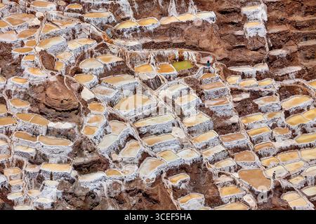 Les mines de sel de Maras, connues sous le nom de Salineras, sont un spectacle magnifique et unique à voir. Ces marais salants en terrasses ont été utilisés depuis le pré-Inca Banque D'Images