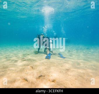 Deux plongeurs explorent le monde sous-marin vibrant de l'île de San Andres, en Colombie, mettant en valeur la belle vie marine et les eaux bleues claires. Banque D'Images