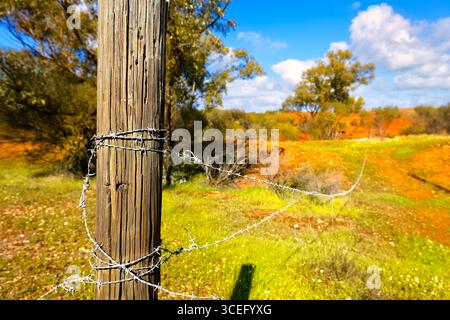 Poteau de clôture en bois avec fil barbelé , Australie occidentale Banque D'Images