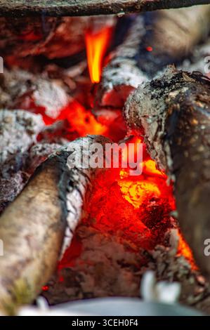 Gros plan de bois de chauffage en feu, présentant des flammes vibrantes et des braises brillantes à Putumayo, en Colombie. Banque D'Images