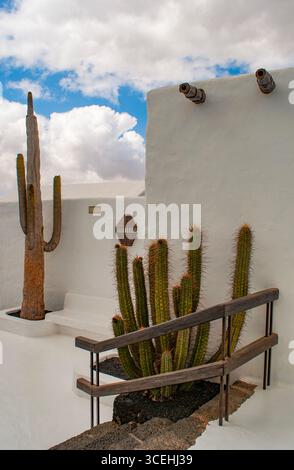 Lanzarote : cactus et bâtiment blanc à Fundacion Cesar Manrique (Fondation Cesar Manrique) la maison distinctive que l'artiste avait à Tahiche Banque D'Images