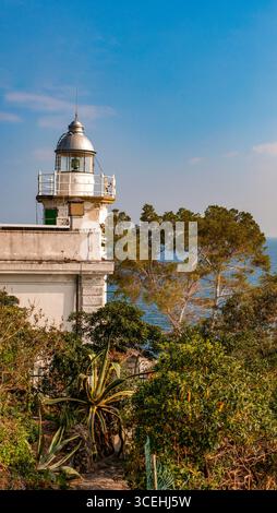 Portofino, Italie : vue imprenable et aérienne sur les pins maritimes et le phare historique de Portofino, construit en 1870, à 40 mètres d'altitude Banque D'Images