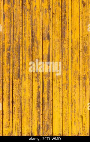 Planches verticales en bois peintes en jaune, montrant des signes d'altération et d'usure, créant un fond rustique plein de texture Banque D'Images