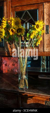 Tournesols avec de longues tiges debout dans un vase en verre cylindrique simple, placé sur un meuble en bois rustique avec un mur peint en rouge dans la BA Banque D'Images