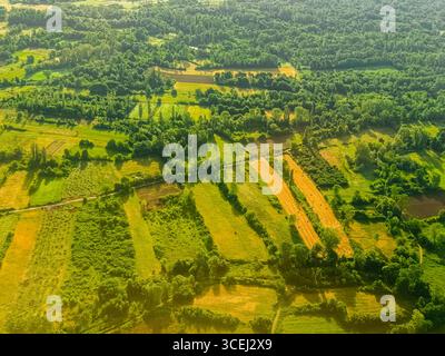 Deux champs de foin doré dans une campagne verdoyante. Routine agricole, changements saisonniers et schémas ruraux paisibles sous la lumière douce du soleil du soir. Banque D'Images