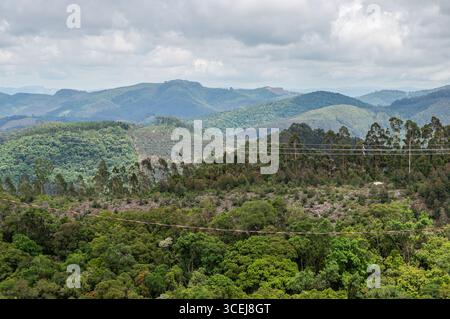 Vue panoramique sur les montagnes verdoyantes denses et verdoyantes et les vallées avec une zone dégagée et des lignes électriques sous un ciel nuageux matinal ensoleillé d'été à Monte Verde. Banque D'Images