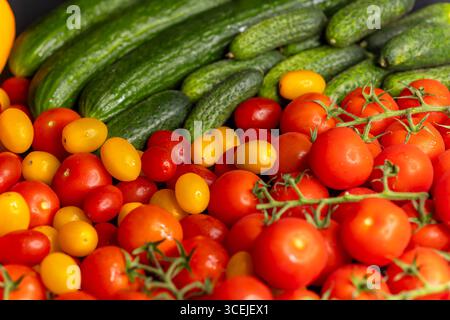 Concombres fraîchement cueillis, tomates rouges et jaunes créent une composition colorée et appétissante Banque D'Images